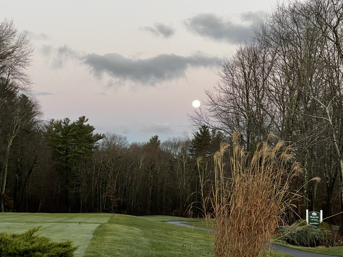 Scott Reynolds tweet media