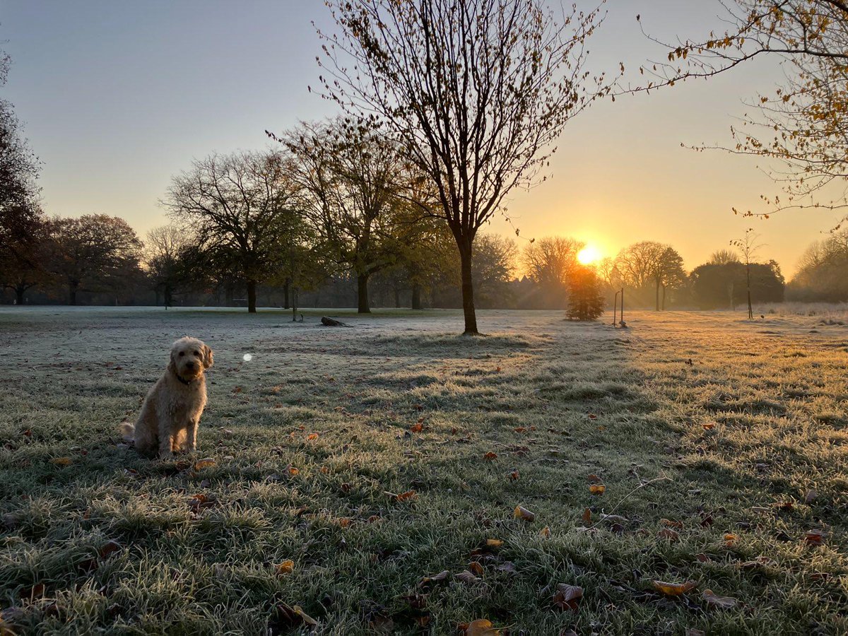 A snap from this morning in west London. One of the moments to treasure #workingfromhome and being able to choose my hours as a #businessowner.