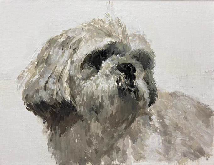 12年前に死んだ愛犬を描きました。いい時間でした。 