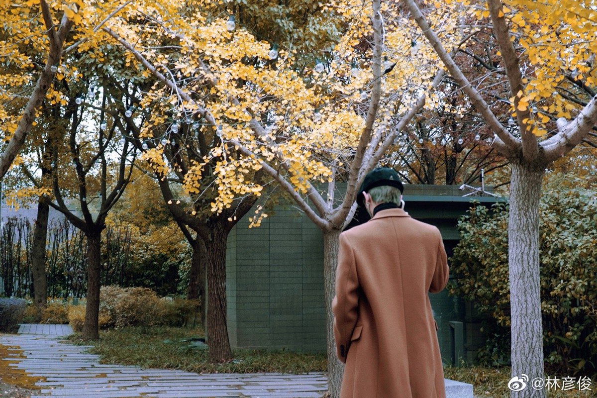 LinYanjun_ID's tweet image. 081222 Lin Yanjun Weibo update

🍂 

#LinYanjun #林彦俊 #EvanLin