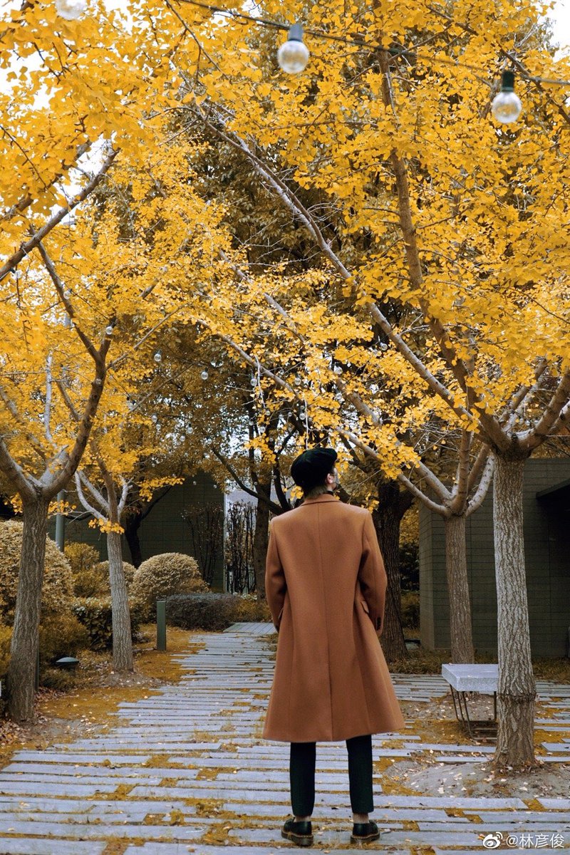 LinYanjun_ID's tweet image. 081222 Lin Yanjun Weibo update

🍂 

#LinYanjun #林彦俊 #EvanLin