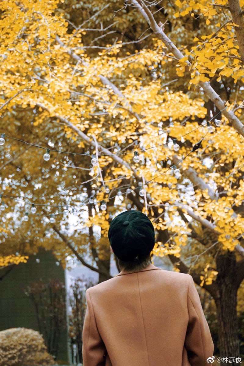 LinYanjun_ID's tweet image. 081222 Lin Yanjun Weibo update

🍂 

#LinYanjun #林彦俊 #EvanLin