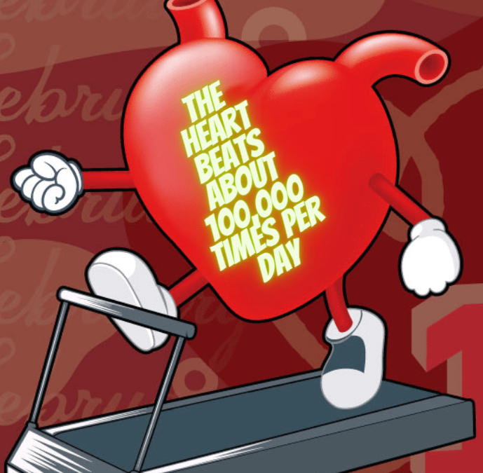 The average human heart beats between 60-100 beats per minute. 
#stayingalive #bhwellnessandfitnessconcepts