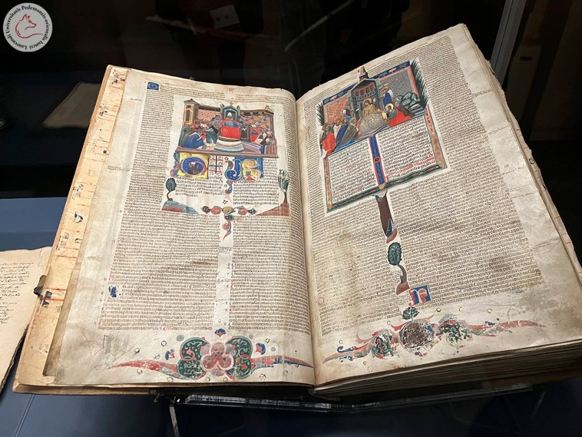 È online la galleria con le immagini più significative della Passeggiata del 3 dicembre nella Vercelli Medievale

lupiuniversitari.wordpress.com/2022/12/07/un-…