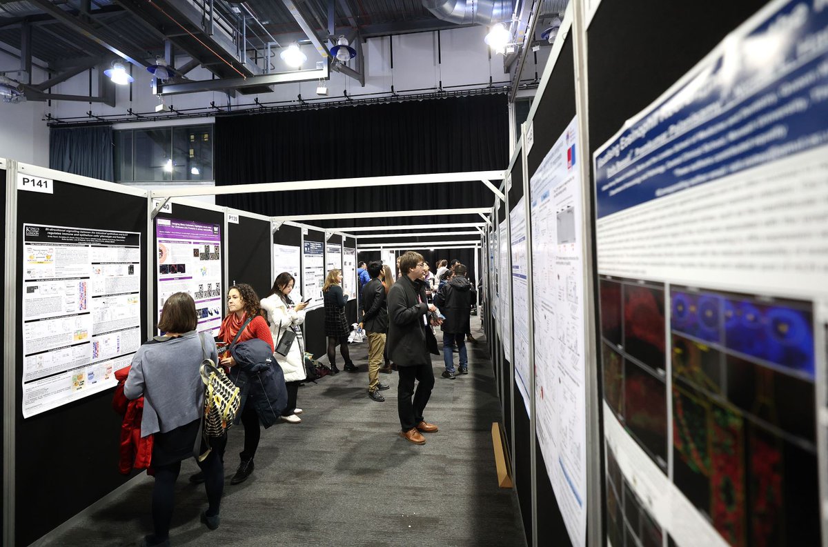 It’s time to announce the winners of the #BSI22 poster prizes! 🌟

P033 <a href="/StephanieJHanna/">Stephanie Hanna</a>, P053 <a href="/elenipapachri_/">Eleni Papachristoforou</a>, P059 <a href="/MichalZulcinski/">Michal Zulcinski</a>, P083 Hannah Bialic, P176 Anna Ahlback, P265 <a href="/Sofia_Hain/">Sofia Hain</a> &amp; P384 Leonor Rodrigues

Congratulations to all the winners!