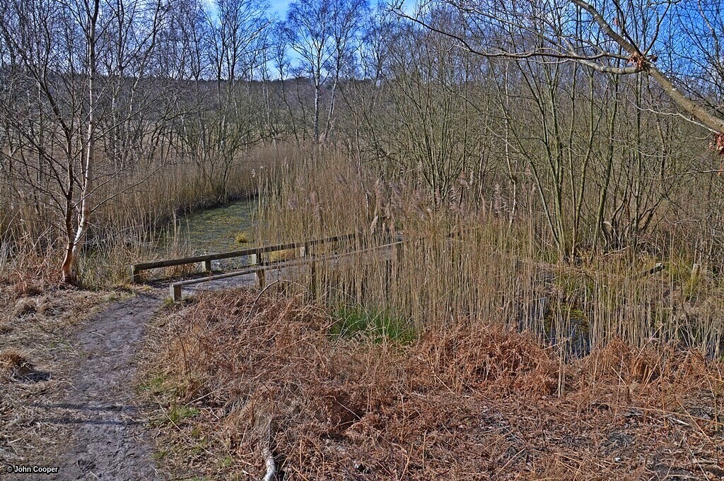TheSuffolkMan's tweet photo. #Docwra Dyke #Dunwich #Suffolk https://t.co/VkqazYz1uv