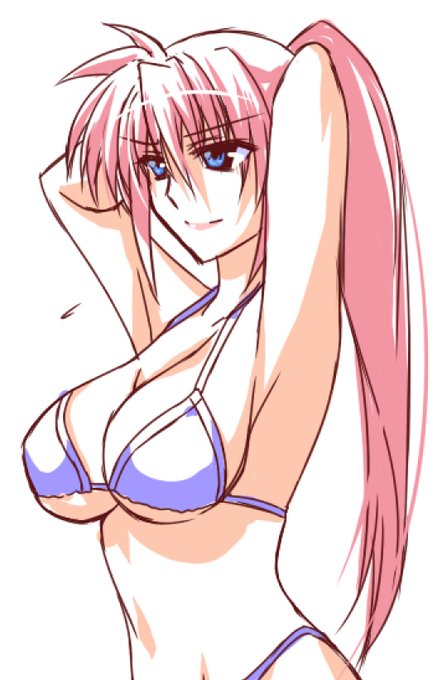 寒くなったからビキニ姿が見たい…だと…
仕方ないやつだ

って言ってくださいシグナム姉さん^^ 