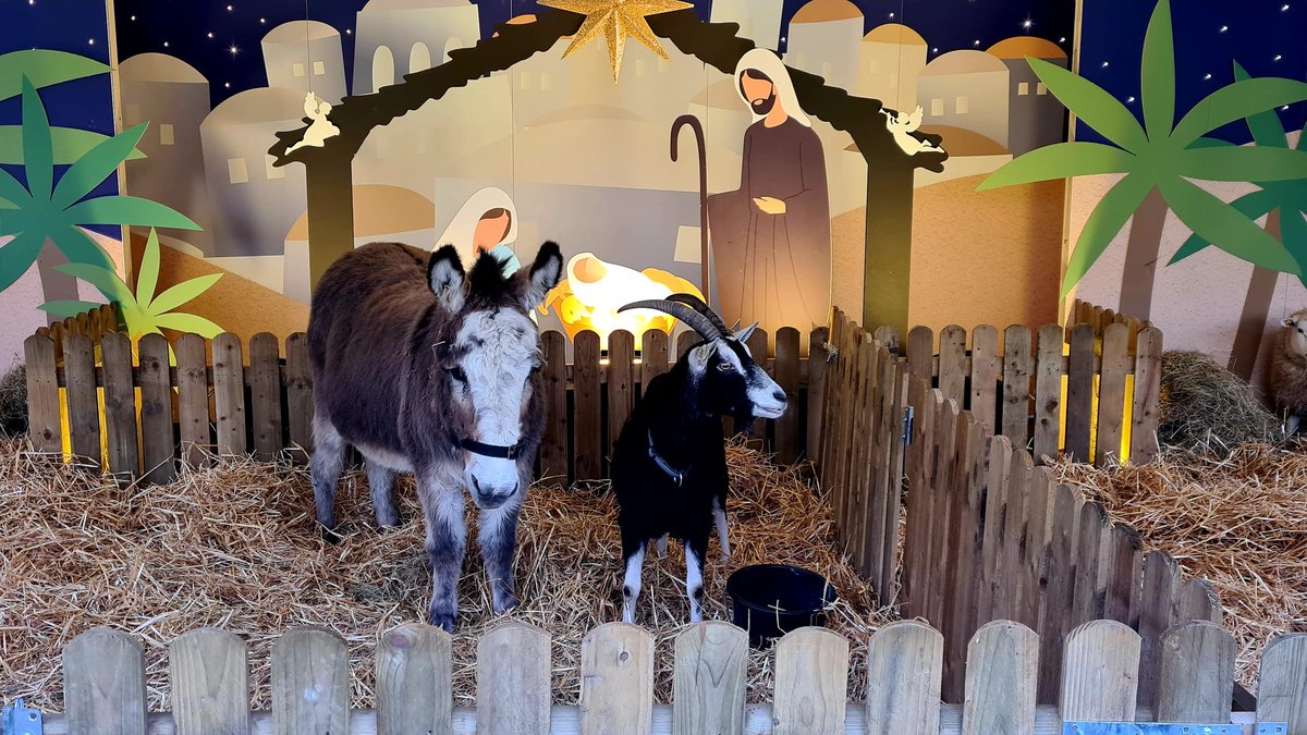 robbiekane74's tweet photo. Reporting from the opening of the #LiveCrib in St Stephens Green for @DublinLive earlier! https://t.co/ybr9IxSzno