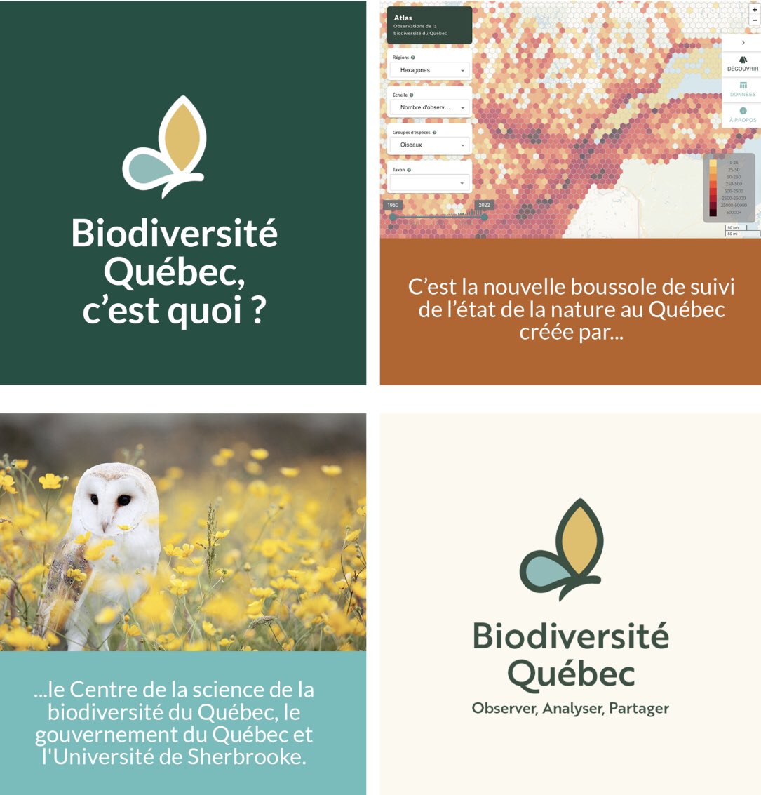traitlab's tweet photo. Le nouveau portail #Biodiversité Québec permet de suivre l’état de la #nature québécoise en partageant données, cartes et indicateurs 👉 https://t.co/KpttIceHxe #COP15 @USherbrooke @csbq_qcbs @EnvironnementQc https://t.co/p21FXV0SXT