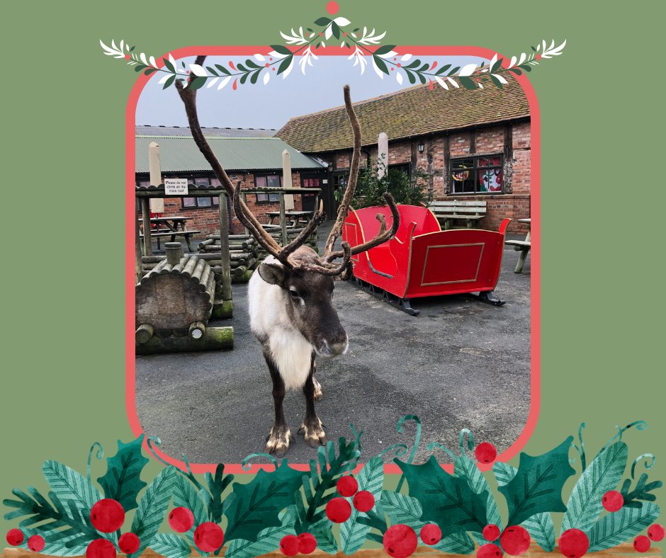 Frosty the Reindeer is looking forward to welcoming the first Father Christmas visitors on Saturday!

If you haven't yet booked, there are still a few slots available.

BOOK NOW: raysfarm.com/book-online-no…