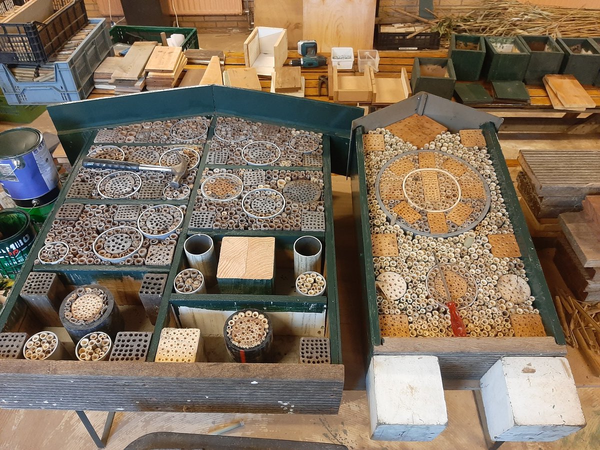 diebodem's tweet photo. Een dagje binnen werken om wat herstelwerkzaamheden en afwerking te realiseren @SMeergroen
#insectenhotels #nestkastjes #vleermuizenkast https://t.co/z8ageC3RgA