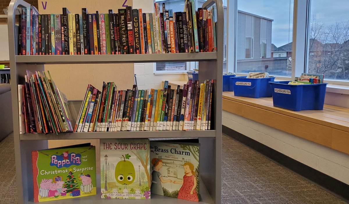 AVPSlibrary's tweet image. Thanks to everyone for supporting the Book Fair, now the library has all these new books for you to borrow!