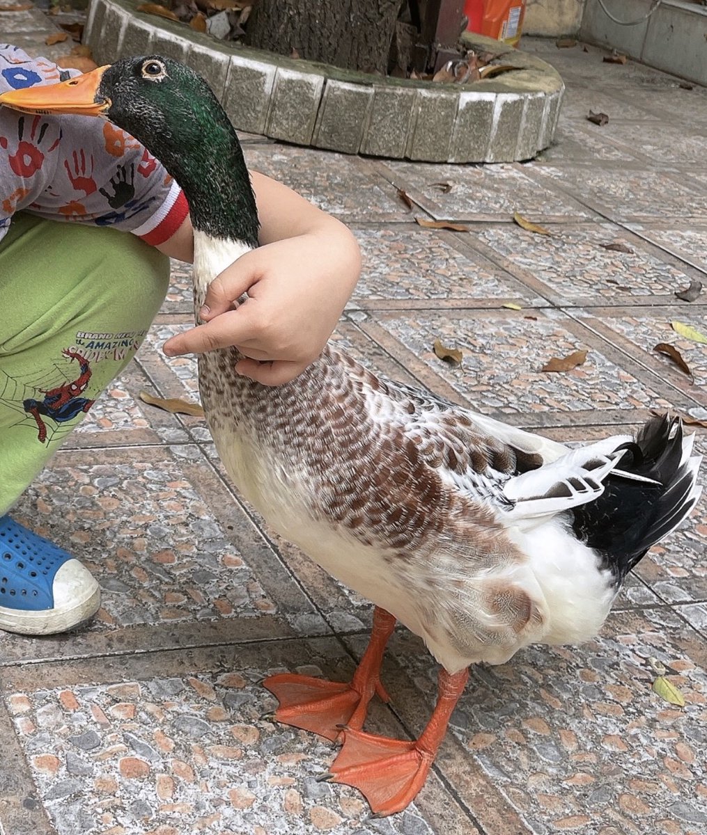 Nhimyeu1vn tweet media
