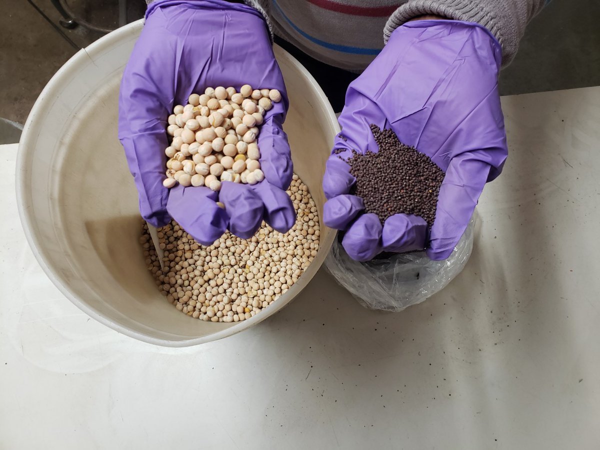 CanadaOilseeds's tweet photo. ECODA offers cutting-edge research &amp; information. From our researchers, to our website, board and partners, we have a wealth of experience &amp; knowledge. See how we’re planning for the future of agriculture: https://t.co/g0eftKdJt1 #agfuture https://t.co/J3RBA8qIPm