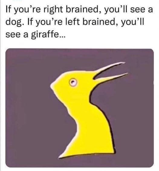 RyanKennedy_22's tweet photo. Which one do you see first? https://t.co/ZIRWyir6eZ