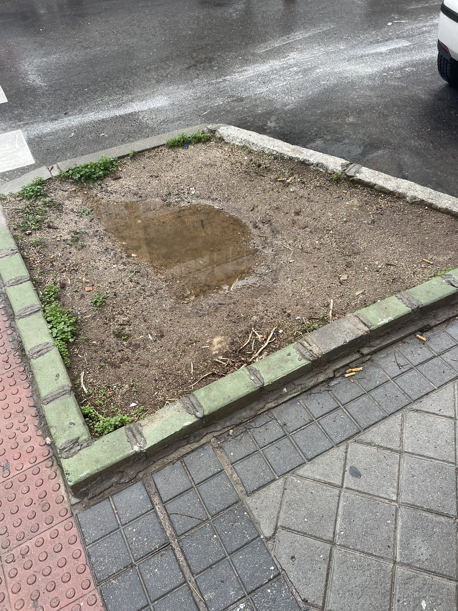 🌳 Reponer Árbol en alcorque vacío, situado en calle Pico de Salvaguardia , 8  <a href="/Lineamadrid/">Línea Madrid</a> 

📍#Peñagrande