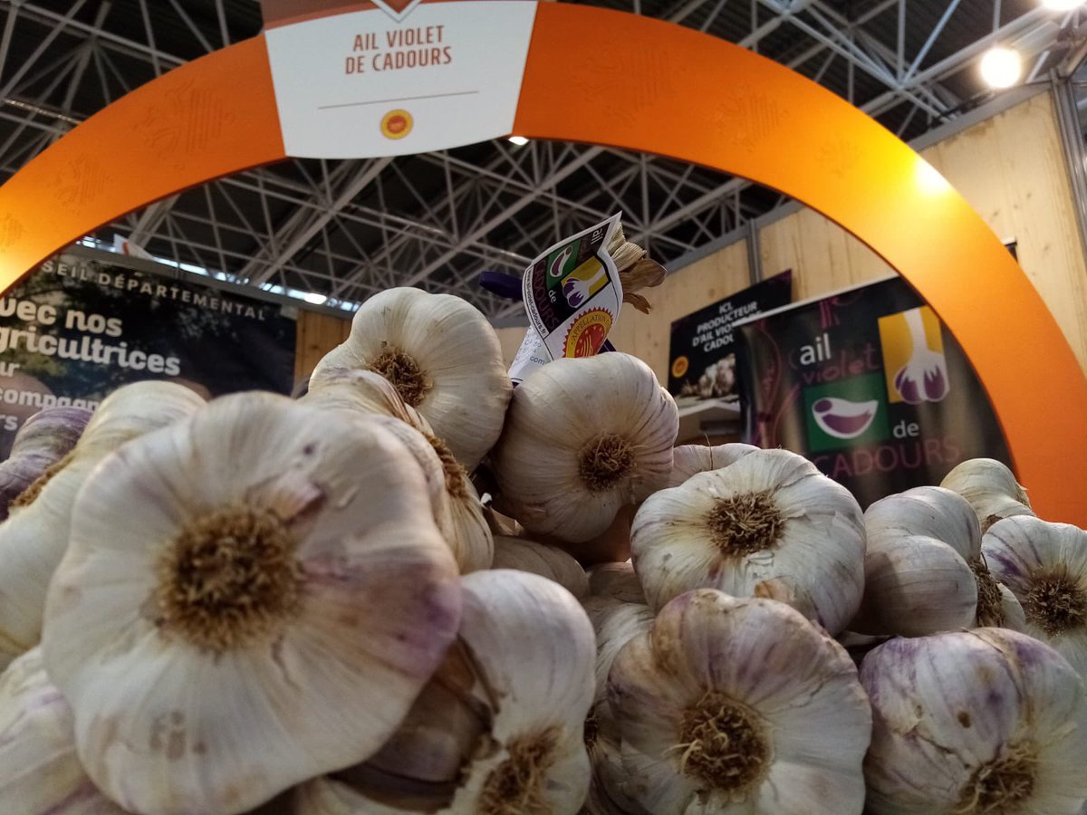 Mediafel's tweet photo. Aujourd’hui nous sommes au Salon #RegalPro, le Salon régional de l’#agriculture en @Occitanie ! 🤩🧄🍎🍐 https://t.co/0S6mNcDnp0
