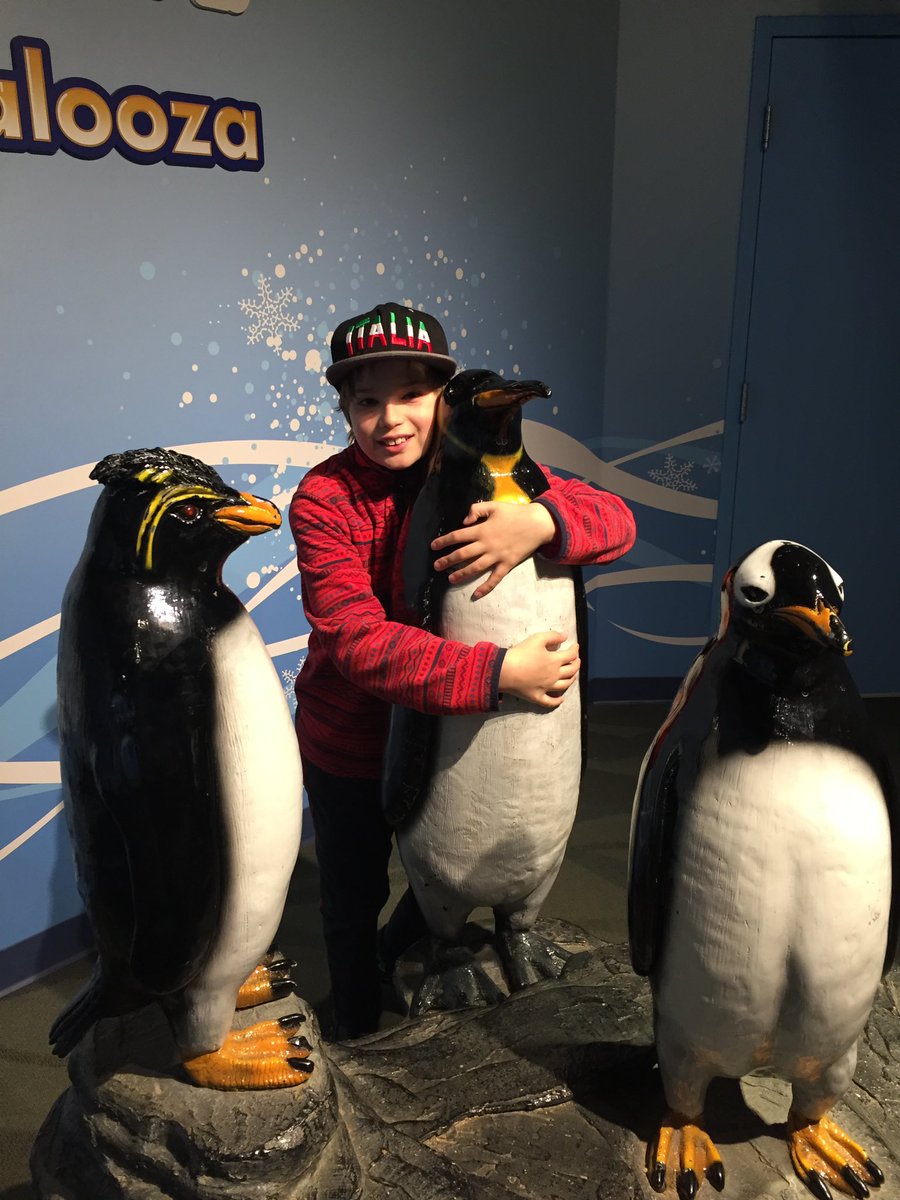 joebiancophd's tweet photo. @refugeingrief My son Andrew loved penguins. Like him, they're brilliant, aquatic, eccentric, and mischievous  #RememberAndrew https://t.co/EcqC1PBCet