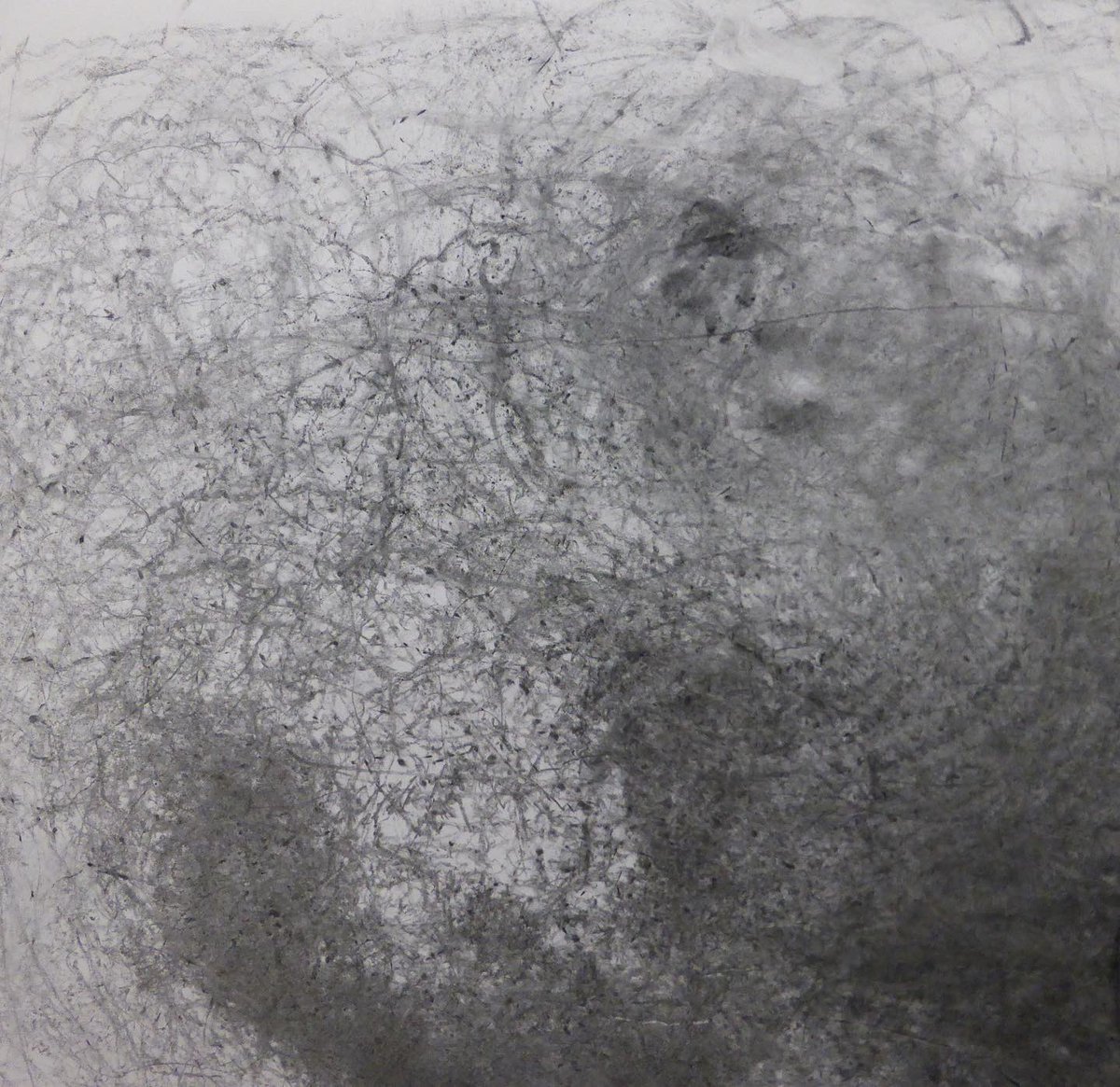 ZEST Arts Collective tweet media