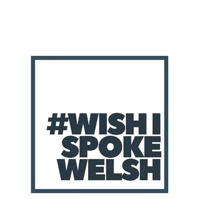 Wish I Spoke Welsh tweet media