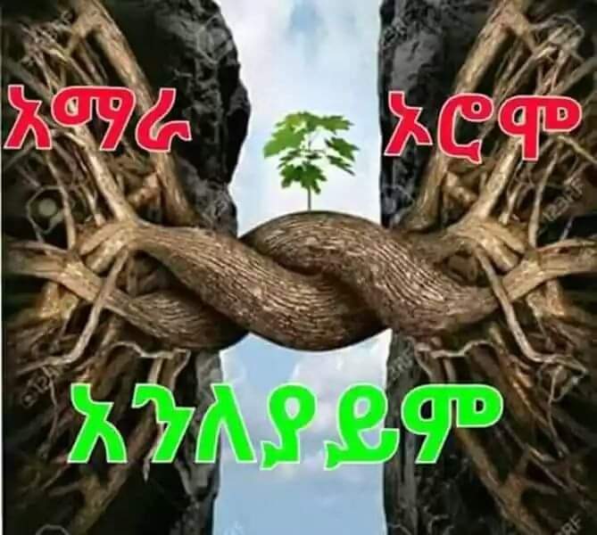 ይሀን ትስስር የማይወድ ኢትዮጵያዊ
እሱ ለኢትዮጵያ አንድነት ጠንቅ የሆነ ማንነት ነው።

እርስ በርስ ጥላቻ ይብቃ!