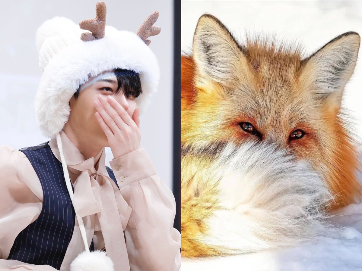TidalLock_mm's tweet photo. 🦊来啦
是狐狸美的正贤呀！🤩

#정현 ＃이정현 #Junghyun https://t.co/lvczBvainF