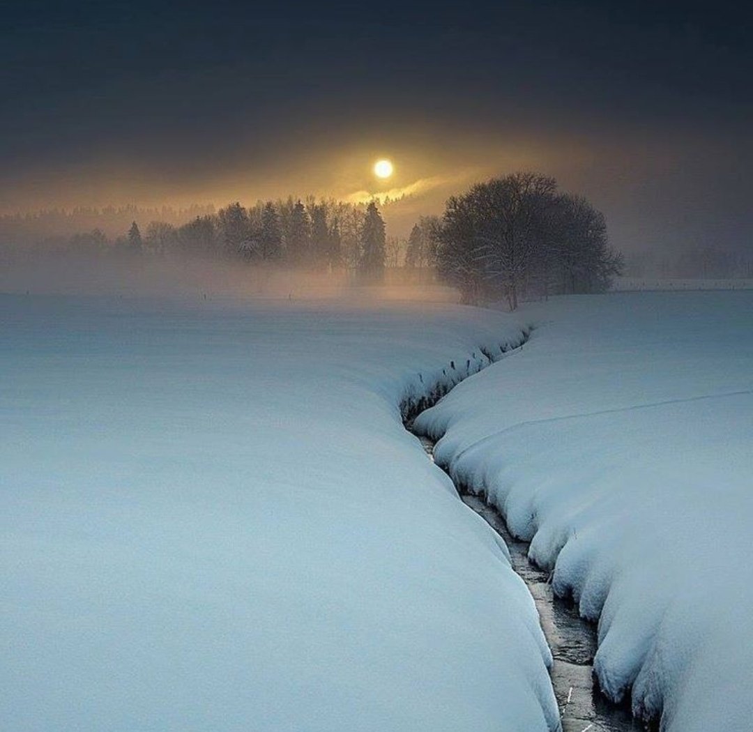Miep51082958's tweet photo. #Stilness
#WinterBeauty ❄️ https://t.co/mxCo8tw5IF