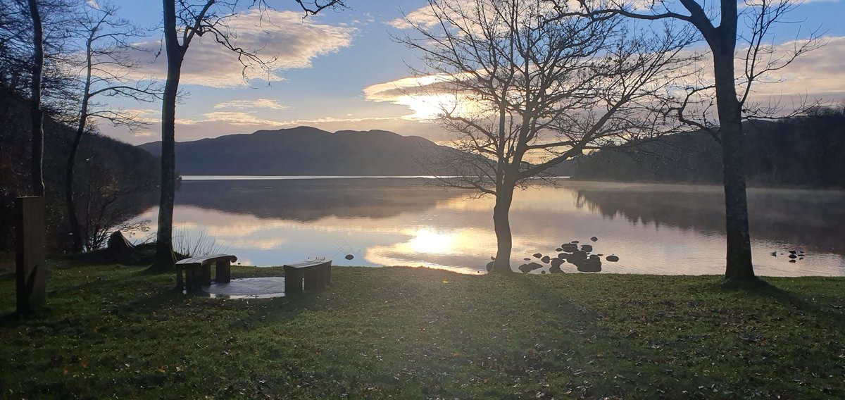 Gary Rooney tweet media