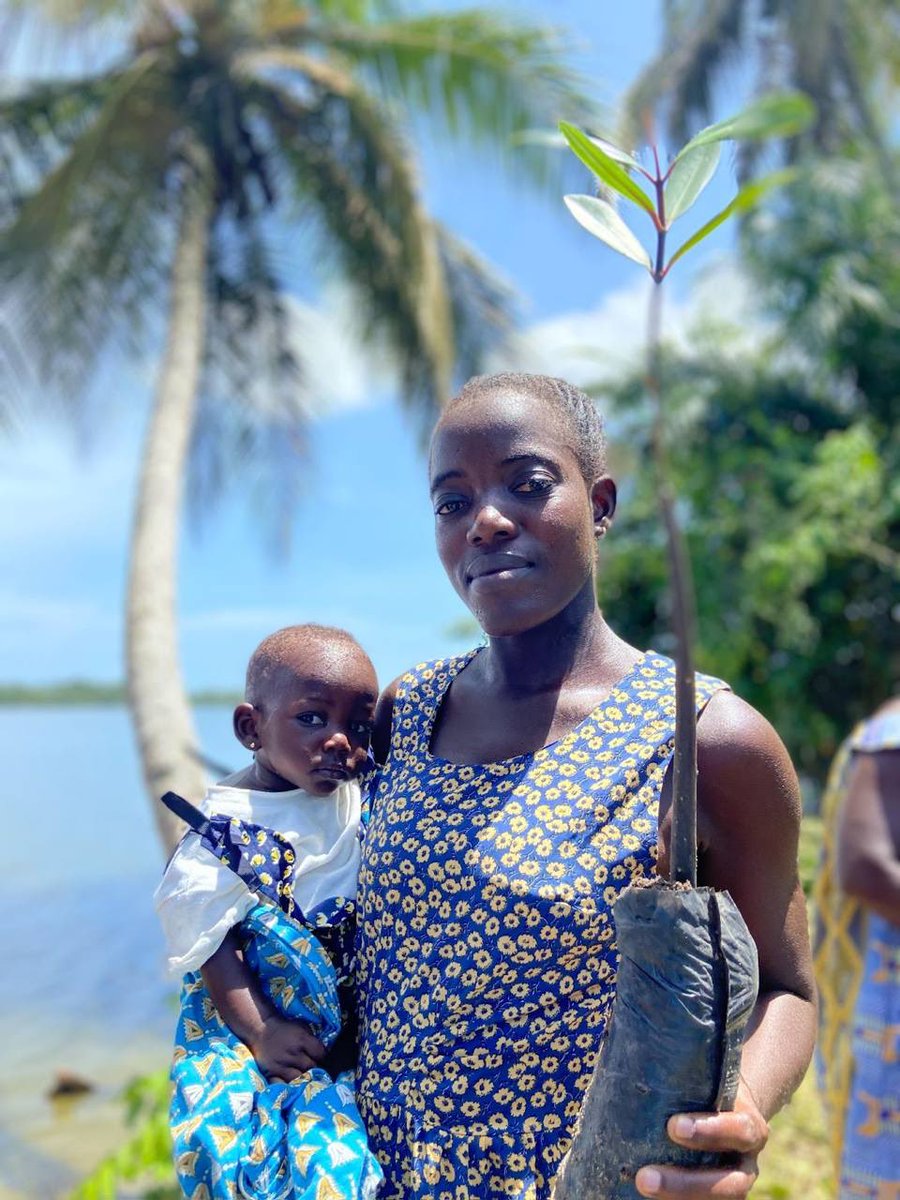 BlueForestLoves's tweet photo. Through successful cooperation with @agro_map , we carried out three unique wetland ecosystems 

projects involving the planting of 160,000 mangroves in the subtropical coastlines of Cote d'Ivoire! !

Follow us for more Cote d’Ivoire storylines! https://t.co/brgSor3rai