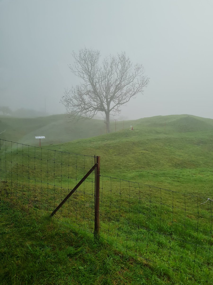 Next stop on Somme Tour was Lochanagar Crater.