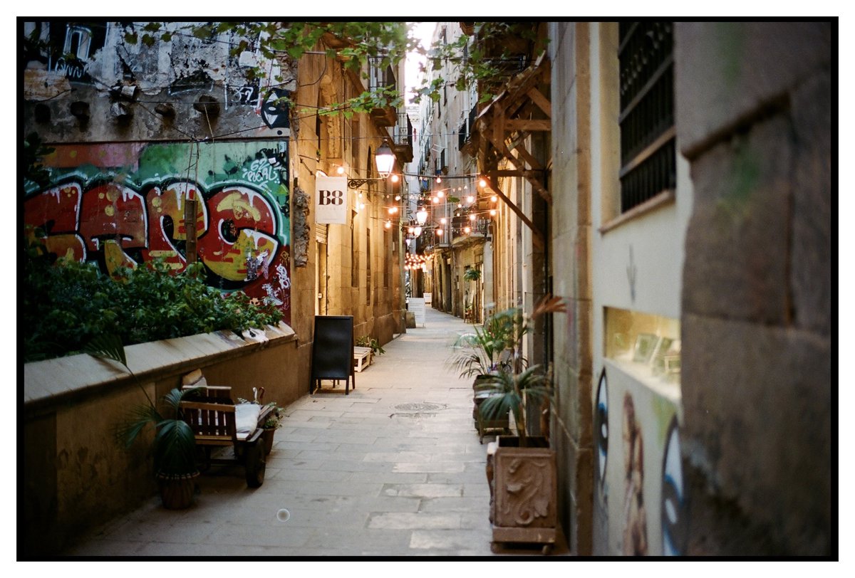 Bijan Sabet tweet media