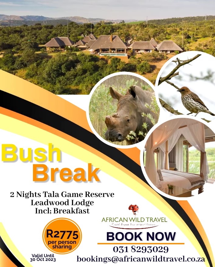 Africanwt's tweet photo. Take your Bush Break in 2023🦏, 🐦🦅
☎️ 031 829 3029
📧 Bookings@africanwildtravel.co.za https://t.co/eSwI1Tinqw