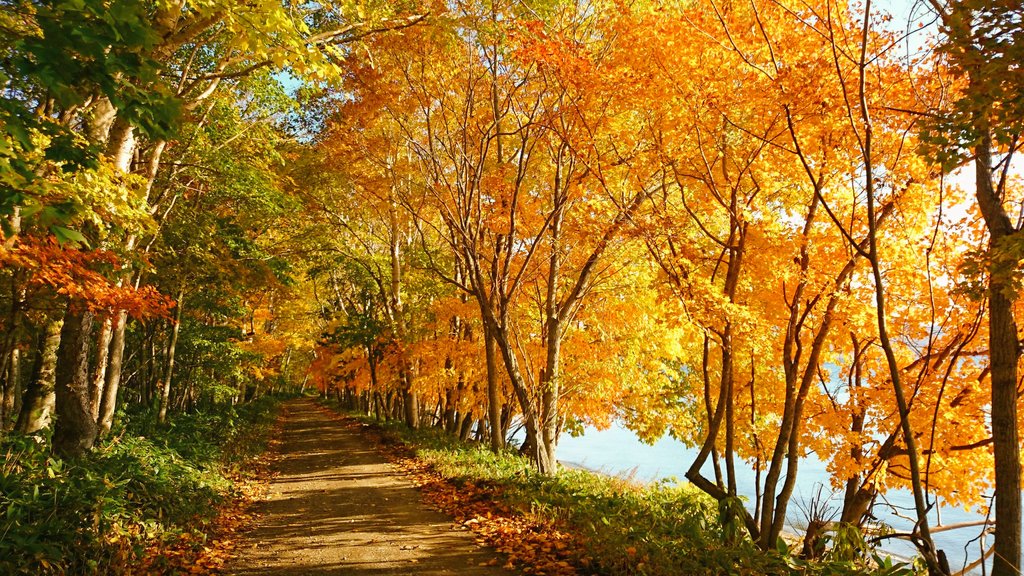 #写真好きな人と繋がりたい 　＃紅葉