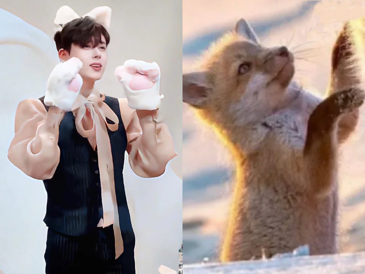 TidalLock_mm's tweet photo. 🦊正贤②
孩子太可爱了呜呜呜🥺想rua🤩

#정현 ＃이정현 #Junghyun https://t.co/d1tXKPSUQv