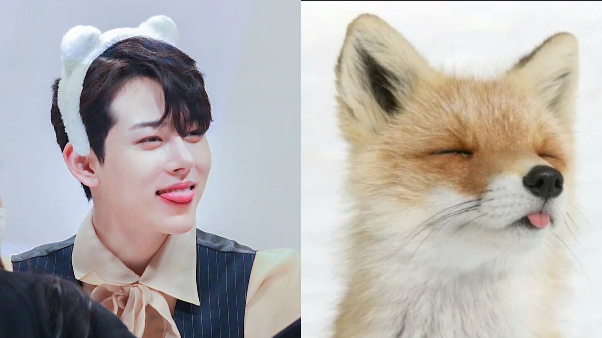 TidalLock_mm's tweet photo. 🦊正贤②
孩子太可爱了呜呜呜🥺想rua🤩

#정현 ＃이정현 #Junghyun https://t.co/d1tXKPSUQv