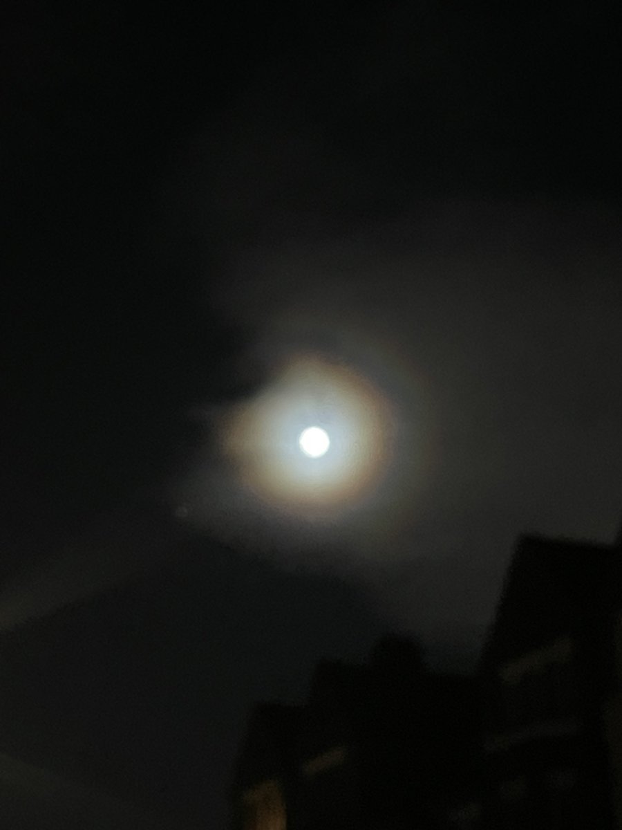 FreeSpine's tweet photo. How darn Bella was the moon last night! 

#fullmoon #delicious https://t.co/BTpAq1cX3M