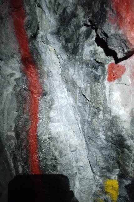 ProvenProbable's tweet photo. Lion One Discovers New Near-Surface Lode at Tuvatu and Intersects Ore-Grade Mineralization Associated with Near-Mine CSAMT Anomaly: https://t.co/rbtoTMTLDP #CanadianGoldStocks #LionOneMetals #JuniorMining https://t.co/ovgHih6gVF