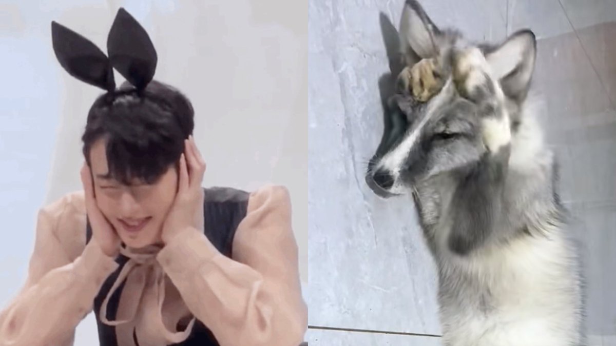 TidalLock_mm's tweet photo. 🦊正贤③
不听不听，王八念经🥺
这是谁的小脑袋瓜圆滚滚呀🤩

#정현 ＃이정현 #Junghyun https://t.co/jw11OlOtO4