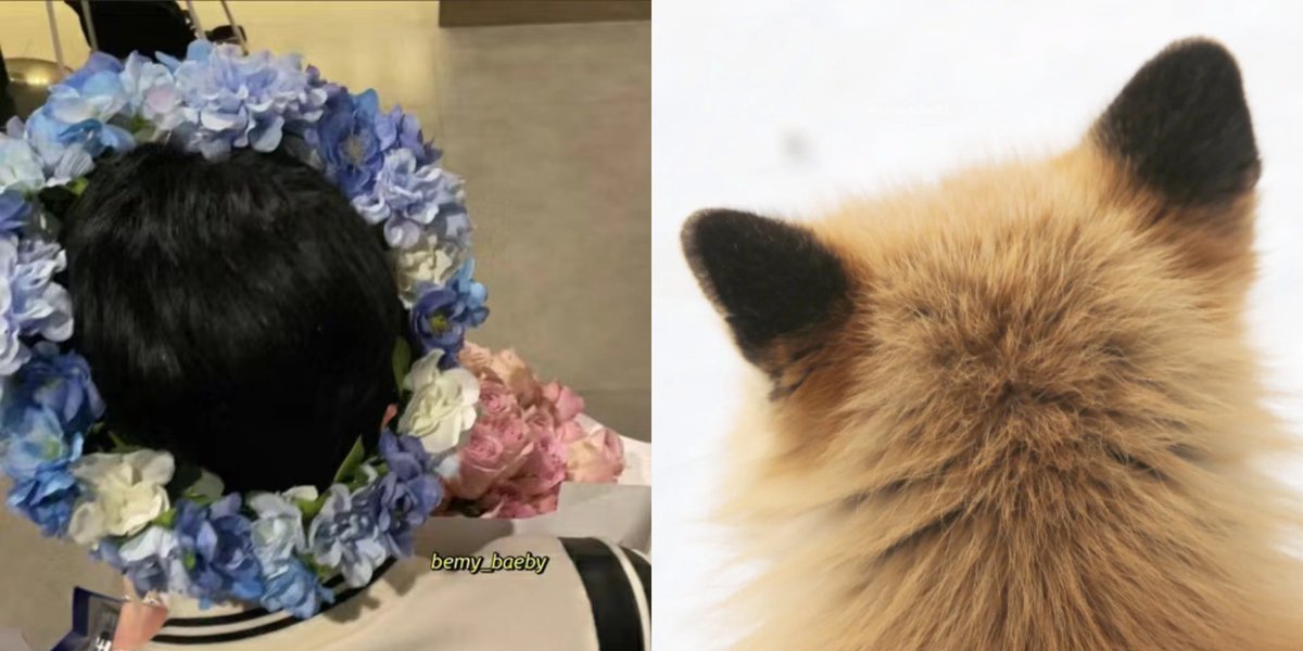 TidalLock_mm's tweet photo. 🦊正贤③
不听不听，王八念经🥺
这是谁的小脑袋瓜圆滚滚呀🤩

#정현 ＃이정현 #Junghyun https://t.co/jw11OlOtO4