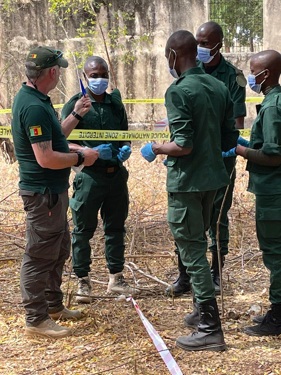 UNODC Environment Team On Twitter Wildlife Crime Scene Awareness unodc-environment-team-on-twitter-wildlife-crime-scene-awareness