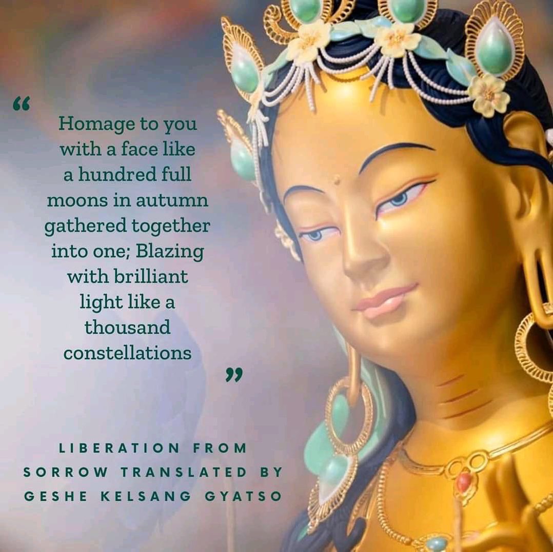 KadampaTampaBay's tweet photo. #taraday #tara #kmctampabay #mother #wind #swift #enlightenment #moon #wind
Join us at 4:30pm for Tara Prayers ❤️ https://t.co/fzNnQ0NZbX