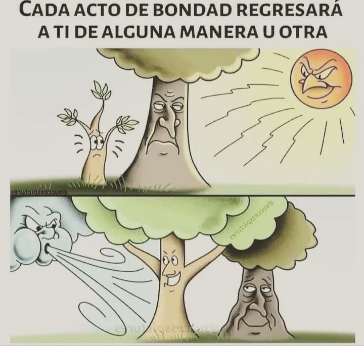 EcoInventos's tweet photo. Cada acto de bondad regresará a ti de una manera u otra. https://t.co/U0pamhac4A