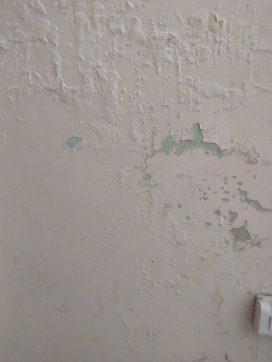 Shaan_777's tweet image. Such a rubbish refund policy @oyorooms have, 14 business days crossed but still no refund transfer till date. @oyorooms are such a beggar who always eat customer's money. #oyobeggar #oyofraud #oyocustomercare #oyosupport 😡😡😡😡😡😡😡😡😡😡😡😡😡😡😡😡😡😡