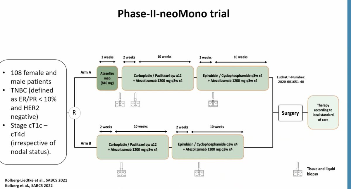 stolaney1's tweet photo. Does order of administration of chemo - checkpoint inhibitor matter in the preop setting in TNBC?  neoMono has a suggestion that checkpoint inhibitor induction may matter in PDL1+ pts

@hmcarthur @OncoAlert #bcsm https://t.co/7e4UDr5RNp