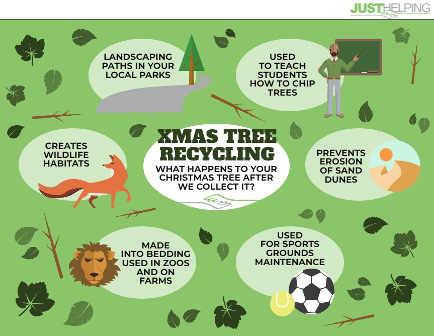 ♻️Real Christmas trees are 100% recyclable ♻️
Ever wondered what happens to your Christmas tree after it is collected for #recycling?
<a href="/_justhelping/">JustHelping</a>  tell us more about the fantastic way the #christmastrees they collect are used.
just-helping.org.uk/news/what-happ… #christmastreerecycling