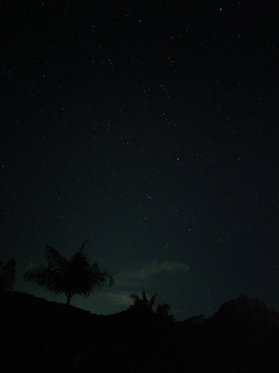 Mateus 🇾🇪 tweet media