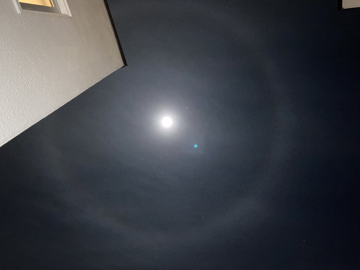 面白いものが撮れた。