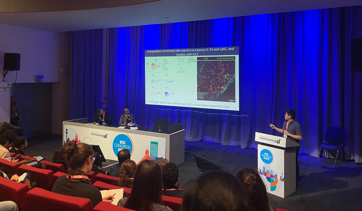 Thomas Yip tweet media