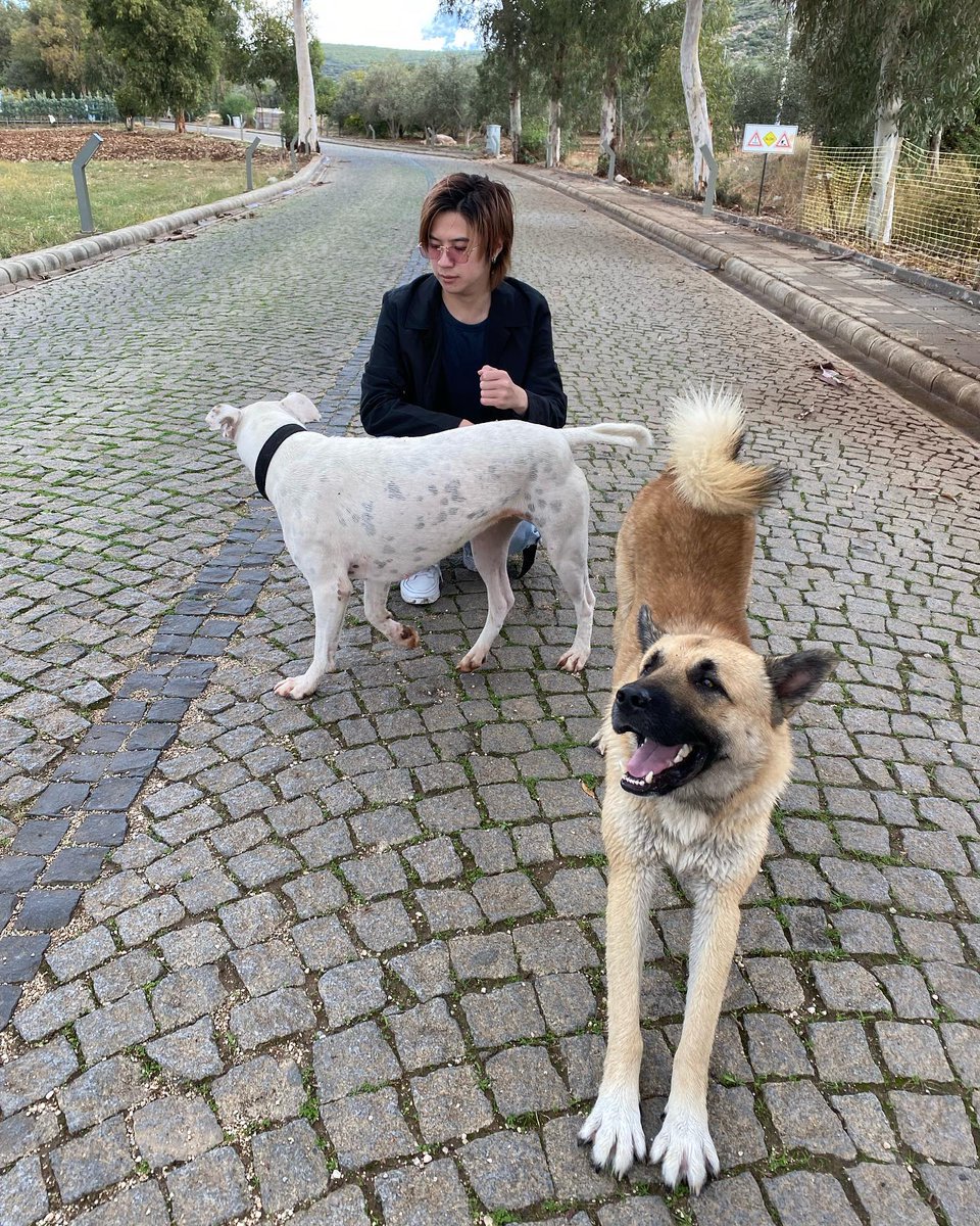 gusml6517's tweet photo. IGS.PLAN's mom🙏

동물들이 플랜이를 너무 좋아함. 🐱🐶💚

✅https://t.co/XAEa49iklj

#คนของแปลน #PlanRathavit https://t.co/yntFy5e5Fj