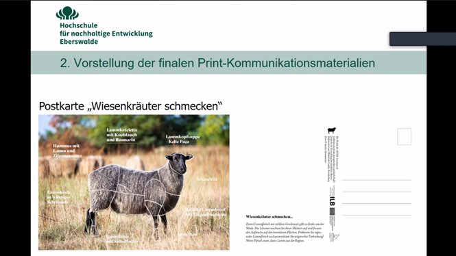 Netzwerk_BB's tweet photo. Das geförderte Projekt zur #Lammfleisch #Vermarktung endet bald. Wir haben uns angeschaut, was wir geschafft haben. 😊 Alle Mitglieder der Gruppe waren sehr zufrieden. 
Danke für die gute Zusammenarbeit!
Bald wird alles vollständig hier verfügbar sein 👇 
https://t.co/ey45Z18fuL https://t.co/Id5Wuaobvc